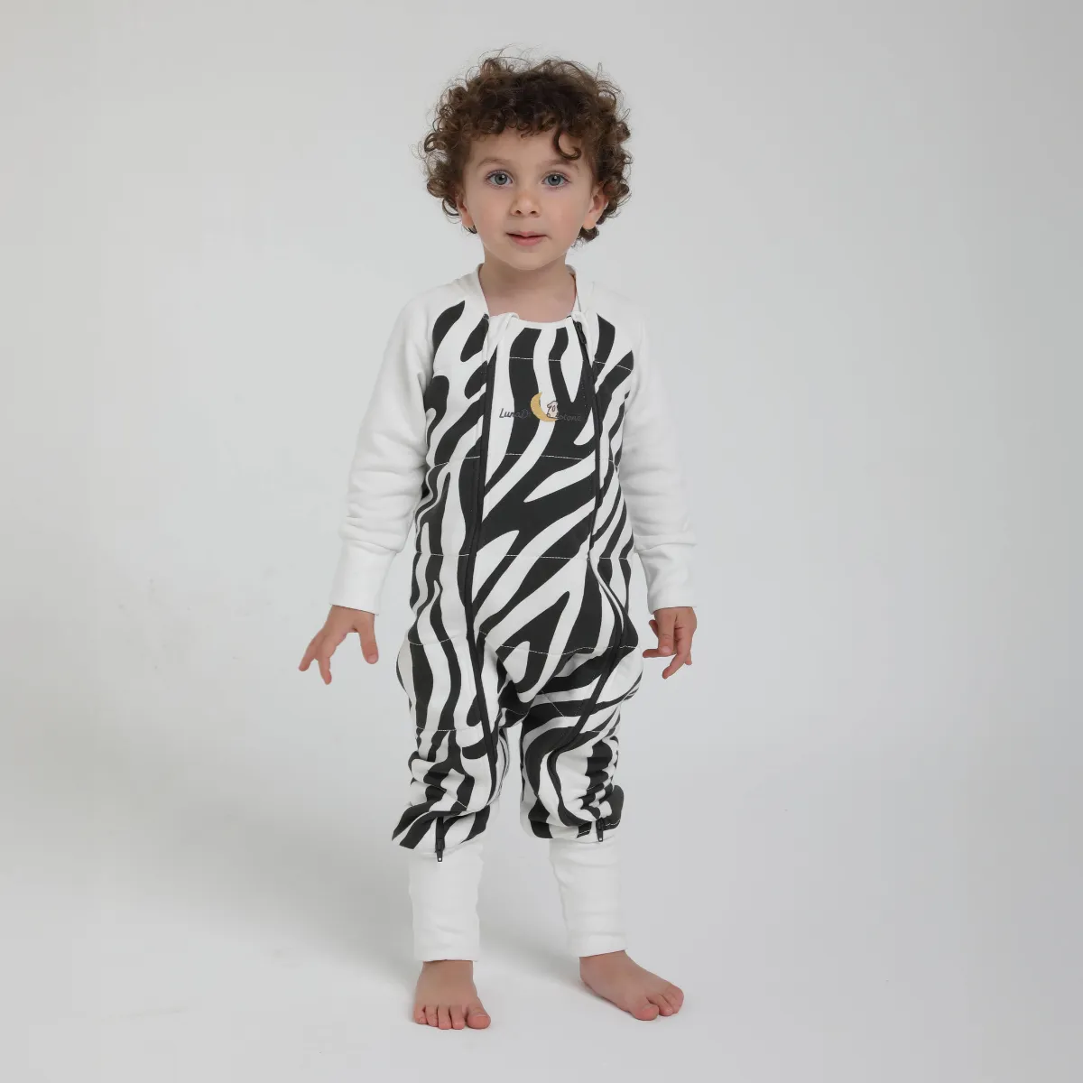 Uyku Tulumu Antrsit Zebra 2 Tog